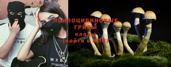 скорость Гусь-Хрустальный