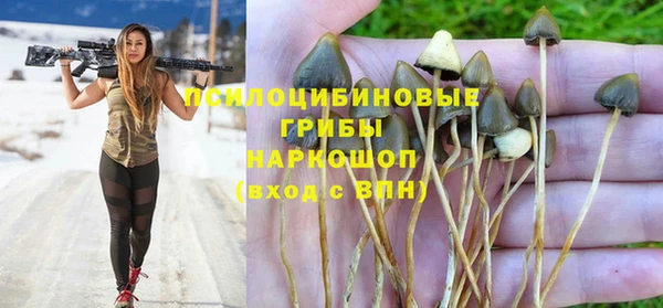 каннабис Гусев