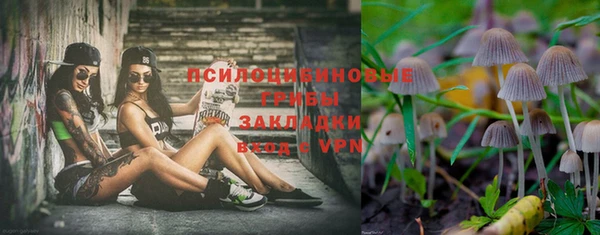 скорость Гусь-Хрустальный