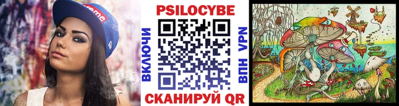 OMG зеркало  Макушино  Псилоцибиновые грибы MAGIC MUSHROOMS 